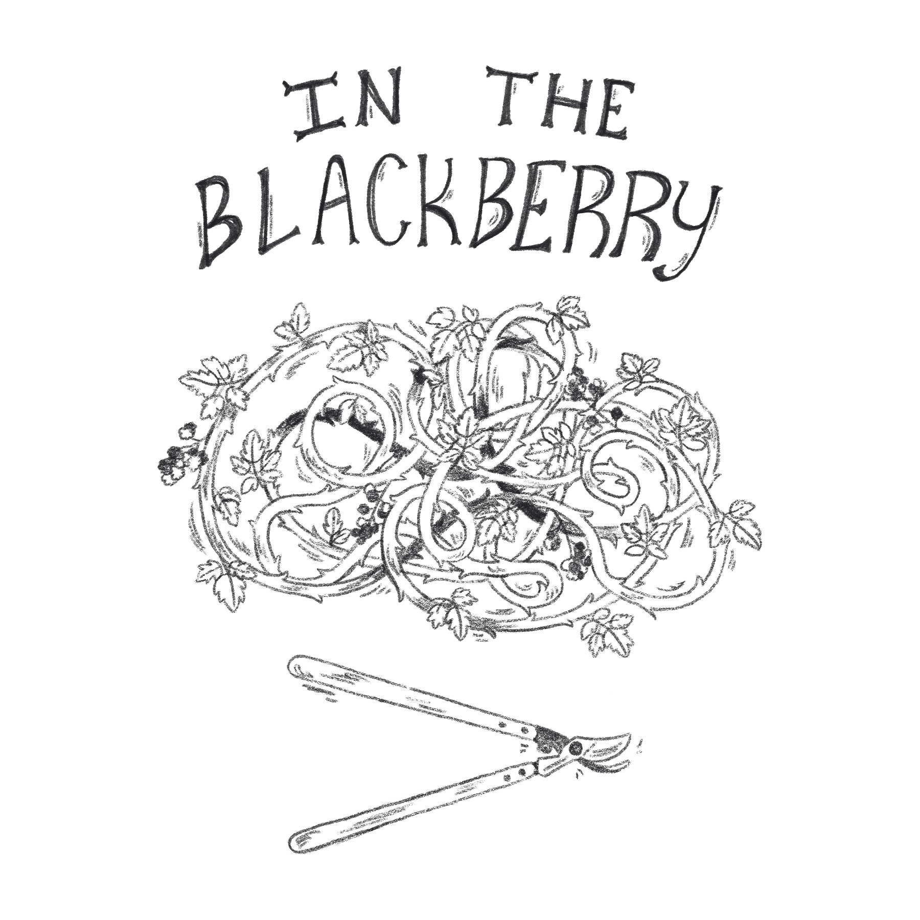 Personal Journal Comics